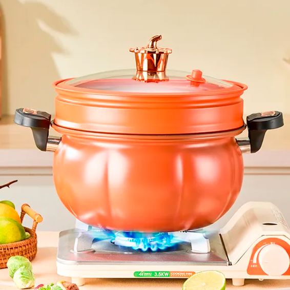 Panela de Pressão 5L ChefPro casa e cozinha - 21 A minha loja