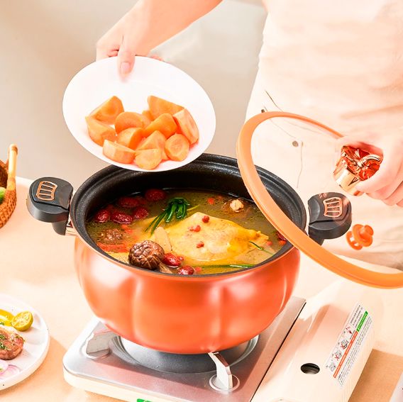 Panela de Pressão 5L ChefPro casa e cozinha - 21 A minha loja